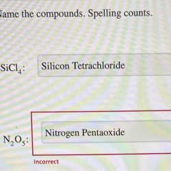 No3 spelling counts compounds chegg nh