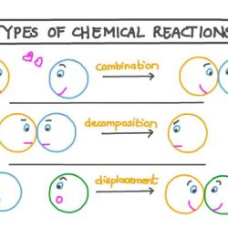 Pogil types of chemical reactions