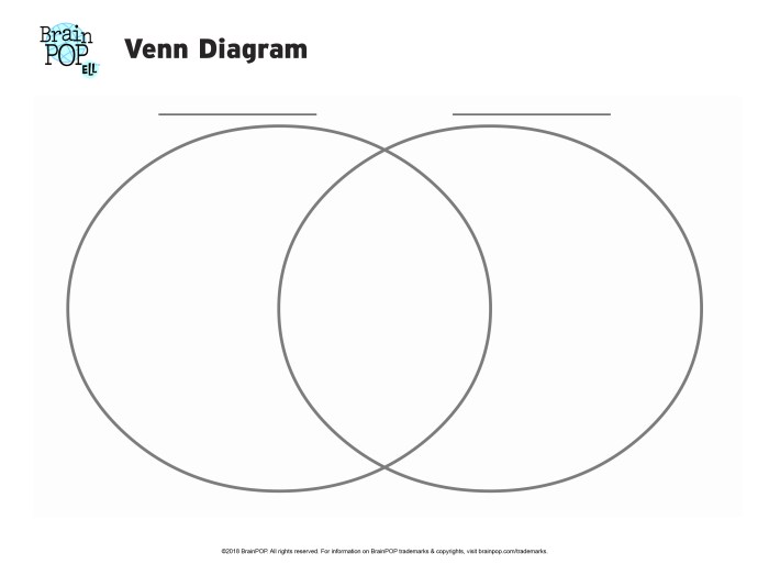 A venn diagram is a graphic organizer