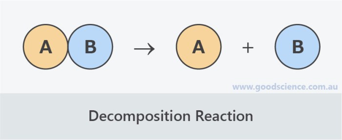 Decomposition reaction chemistry examples chemical example definition equation types define uses lyfe spice